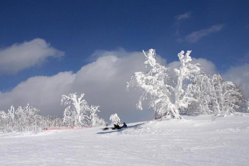 Stay In Toyooka Asahikawa Eksteriør bilde